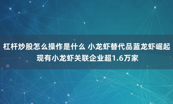 杠杆炒股怎么操作是什么 小龙虾替代品蓝龙虾崛起 现有小龙虾关联企业超1.6万家