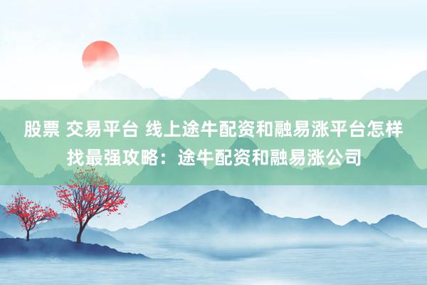股票 交易平台 线上途牛配资和融易涨平台怎样找最强攻略：途牛配资和融易涨公司