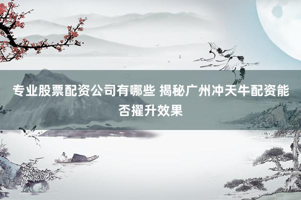 专业股票配资公司有哪些 揭秘广州冲天牛配资能否擢升效果
